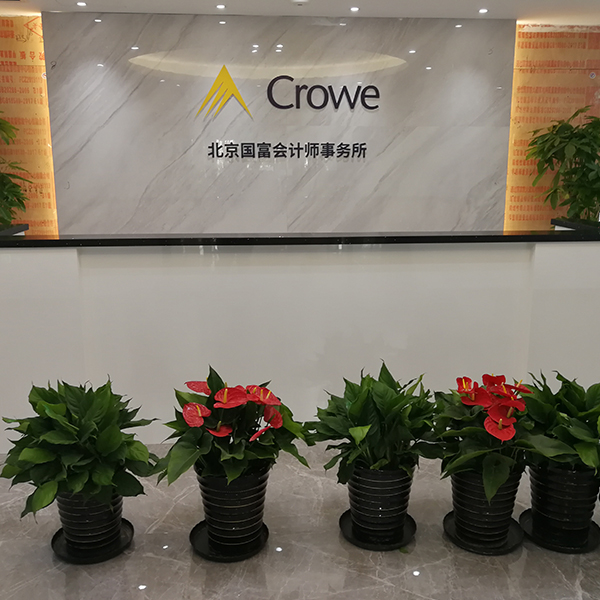 国富会计师事务所